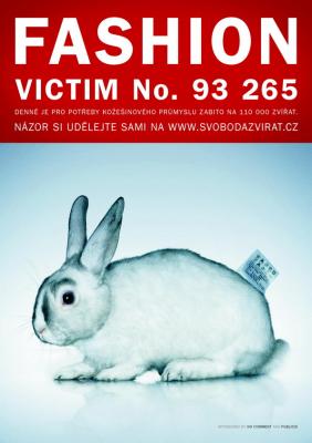 20080422111730-fashion-victim.jpg