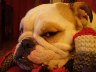 20081215124320-imagen-074.jpg